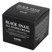 Eyenlip Black Snail All In One Cream