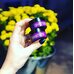 Eyenlip Collagen Power Lifting Cream