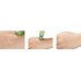 Nature Republic California aloe vera 74 cooling eye serum