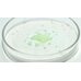 Medi-Peel Micro Tea Powder Cleanser