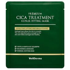 Wellderma Premium Cica Treatment Repair Fitting Mask