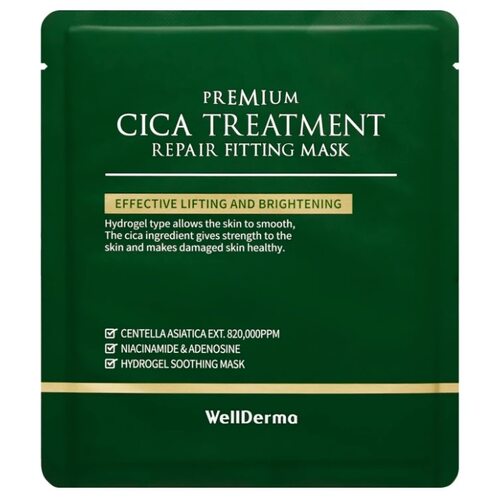 Wellderma Premium Cica Treatment Repair Fitting Mask
