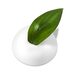 Neogen Real Fresh Green Tea Foam Cleanser