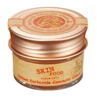 Skinfood Salmon Darkcircle Concealer Cream