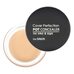 The Saem Cover Perfection Pot Concealer