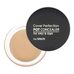 The Saem Cover Perfection Pot Concealer