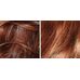 Nature Republic Argan Essential Moist Hair Mist
