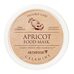Skinfood Apricot Food Mask