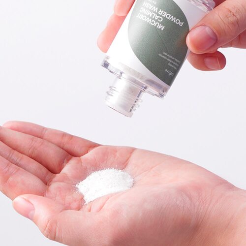 Isntree Mugwort Calming Powder Wash