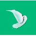 Innisfree Green Tea Balancing Cream