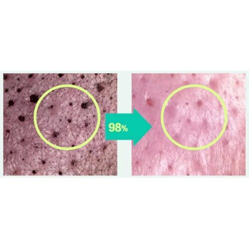 Real Barrier Pore Bium Powder Wash