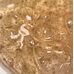 Usolab Bio Renaturation Repair Ampoule