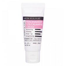 Derma Factory Niacinamide 10% Calamine Cream