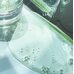 Pestlo Nonicica Soothing Serum