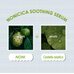 Pestlo Nonicica Soothing Serum