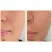 Medi-Peel Premium Golden Camellia Wrinkle Cream