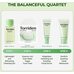 Torriden Balanceful Skin Care Trial Kit