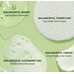 Torriden Balanceful Skin Care Trial Kit