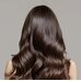 Derma Factory Repair Bonding Hair Oil