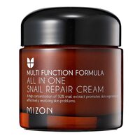 MIZON All In One Snail Repair Cream