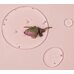 Aromatica Reviving Rose Infusion Serum