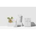 COSRX Pure Fit Cica Cleanser