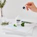 Medi-Peel Cencica Calming Ampoule