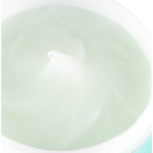 Nature Republic Super Aqua Max Deep Moisture Sleeping Pack